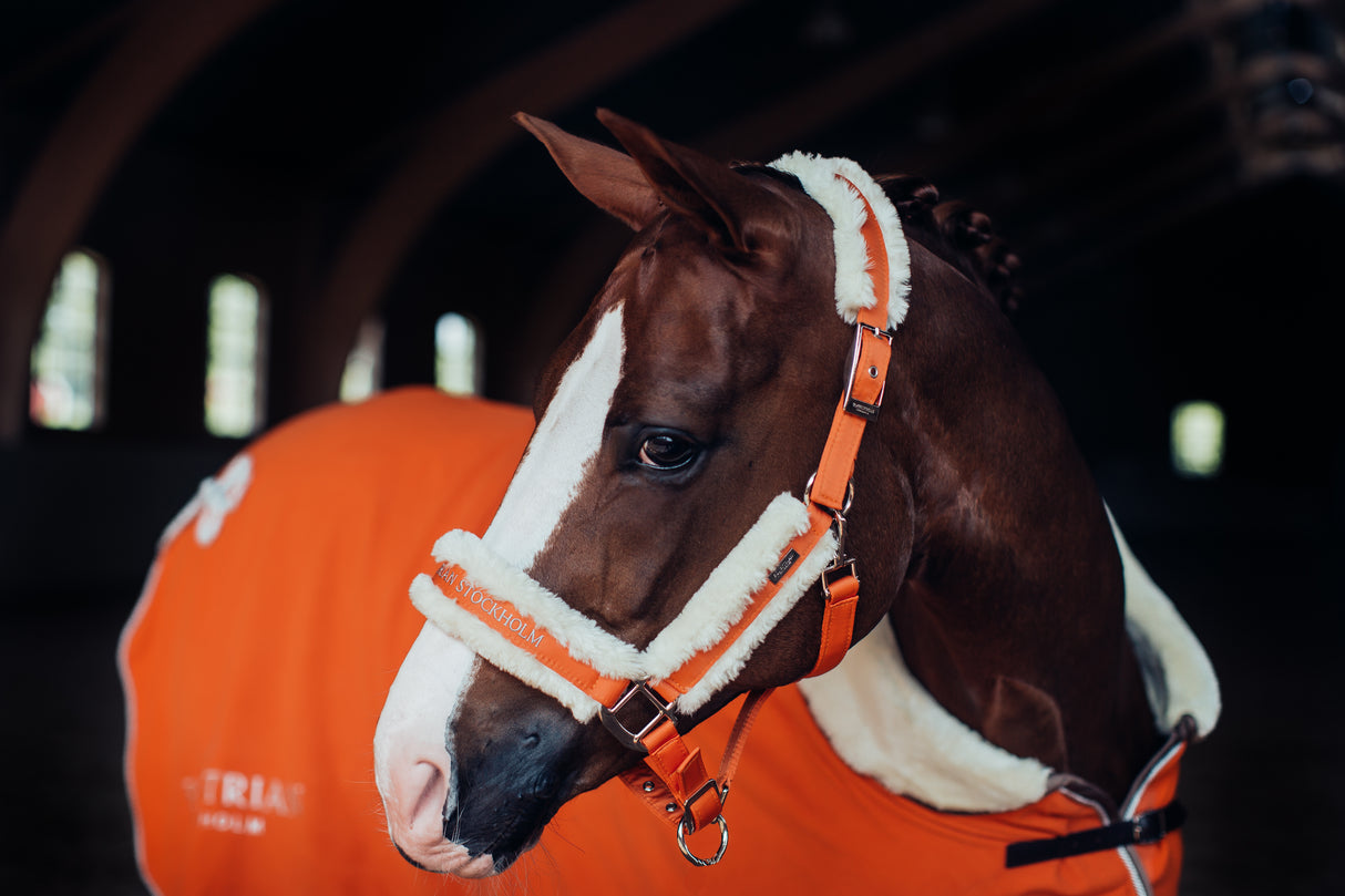 Equestrian Stockholm Fleece Halter & Lead Brick Orange