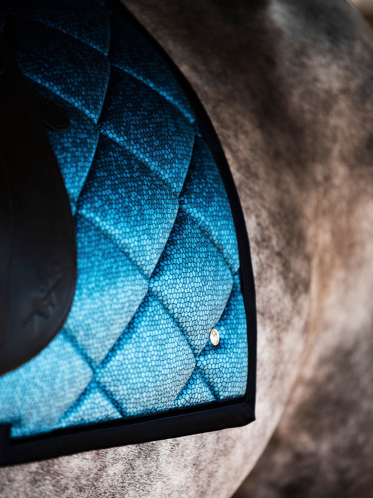 PS of Sweden Ombré Dressage Saddle Pad Navy