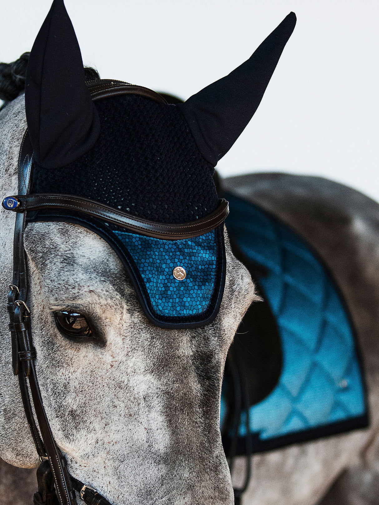 PS of Sweden Ombré Dressage Saddle Pad Navy