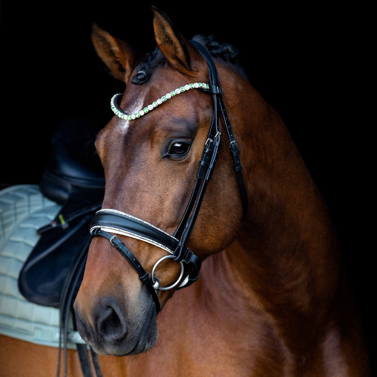 SD Design Be Tempted Browband Peppermint Cake Pop