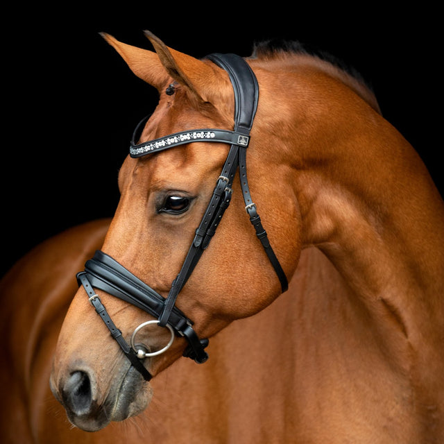 SD Design Vivaldi Browband Clear