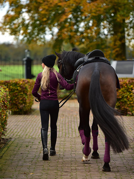 Equestrian Stockholm Bandages Purple Gold