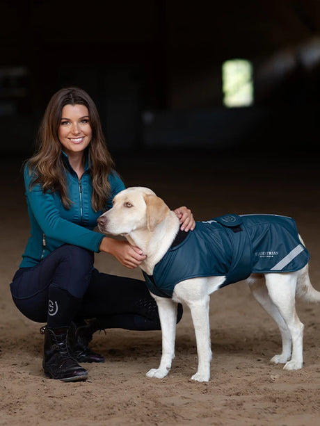 Equestrian Stockholm Weather Pro Dog Rug Aurora Blues