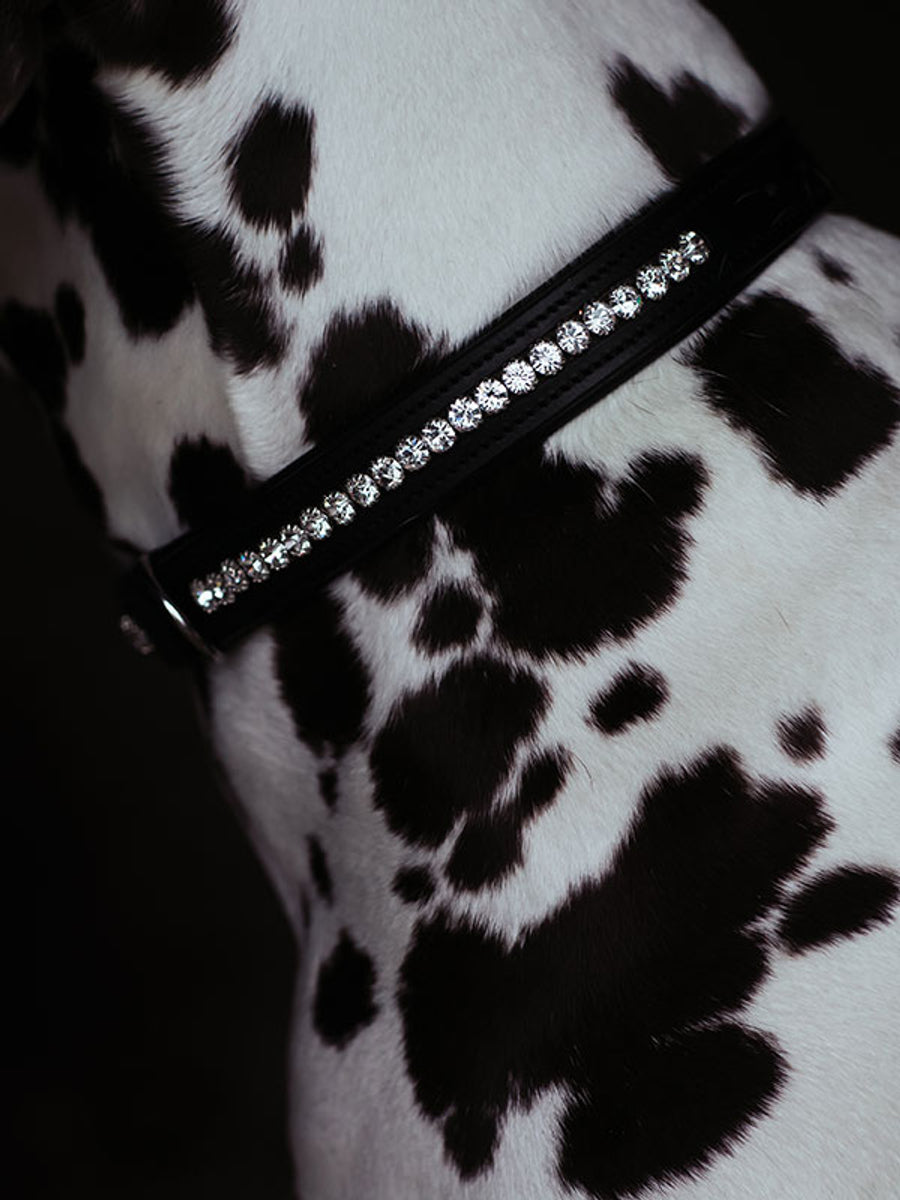 Equestrian Stockholm Dog Collar Black Edition