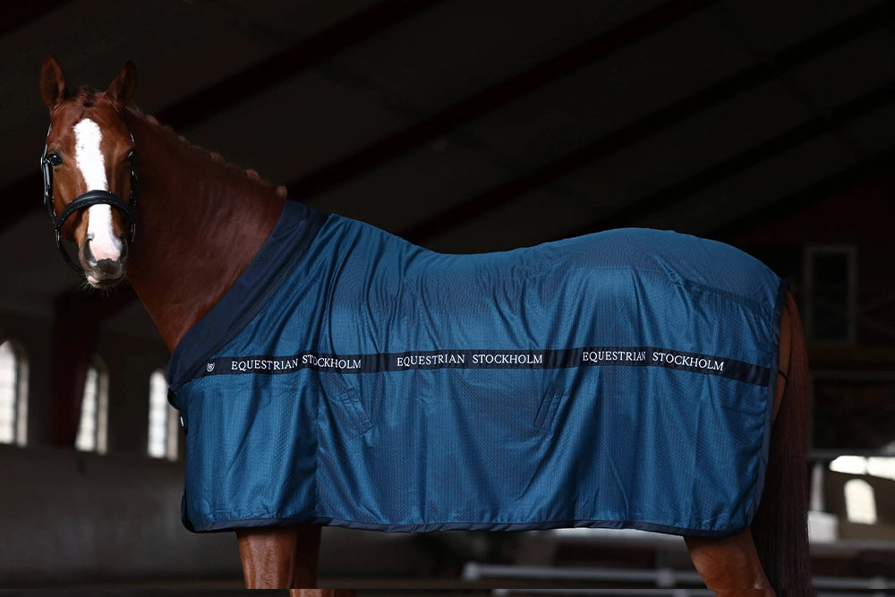Equestrian Stockholm Cooler Rug Blue Meadow
