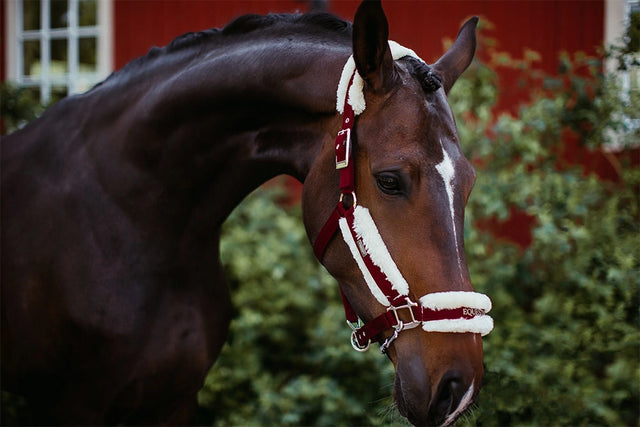 Equestrian Stockholm Fleece Halter & Lead Bordeaux
