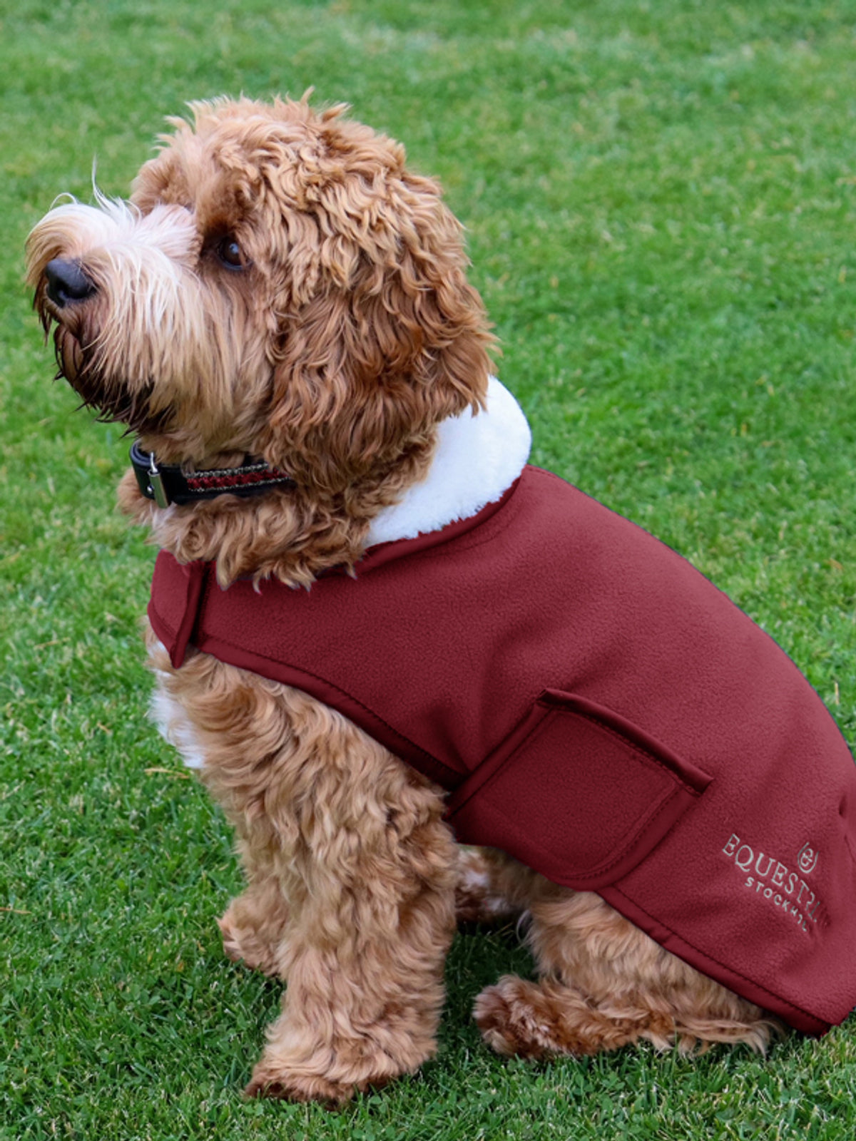 Equestrian Stockholm Fleece Dog Rug Bordeaux