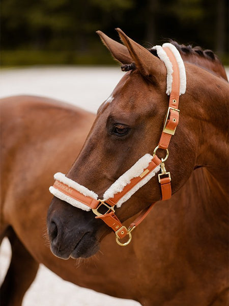 Equestrian Stockholm Fleece Halter & Lead Bronze Gold