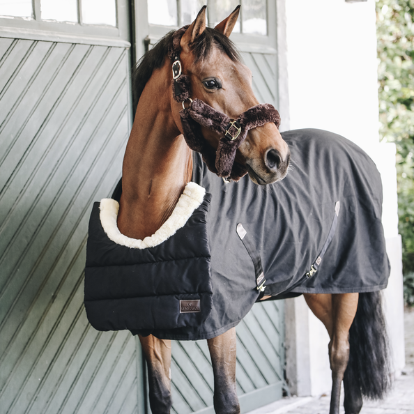 Kentucky Winter Horse Bib Black
