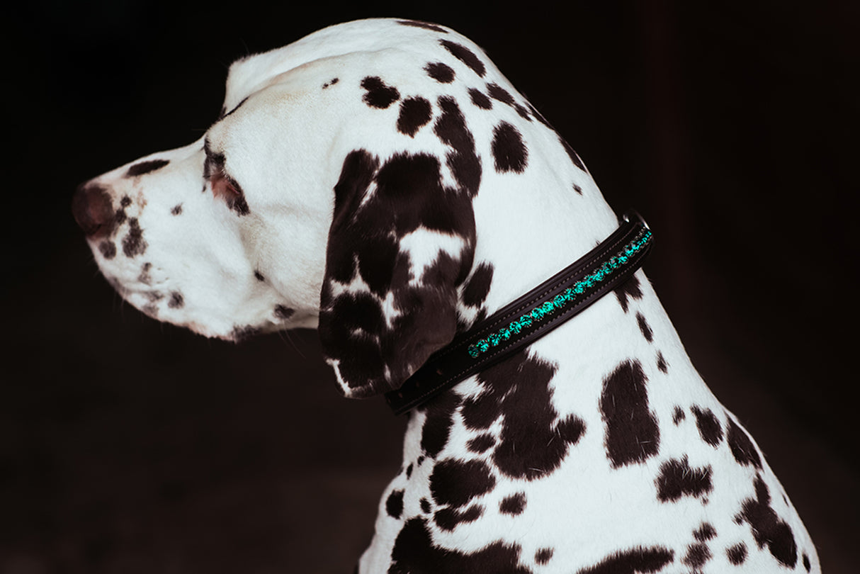 Equestrian Stockholm Dog Collar Deep Olivine