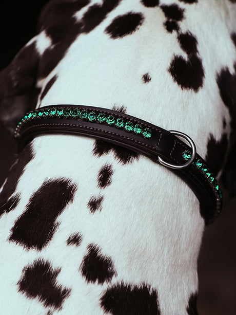 Equestrian Stockholm Dog Collar Deep Olivine