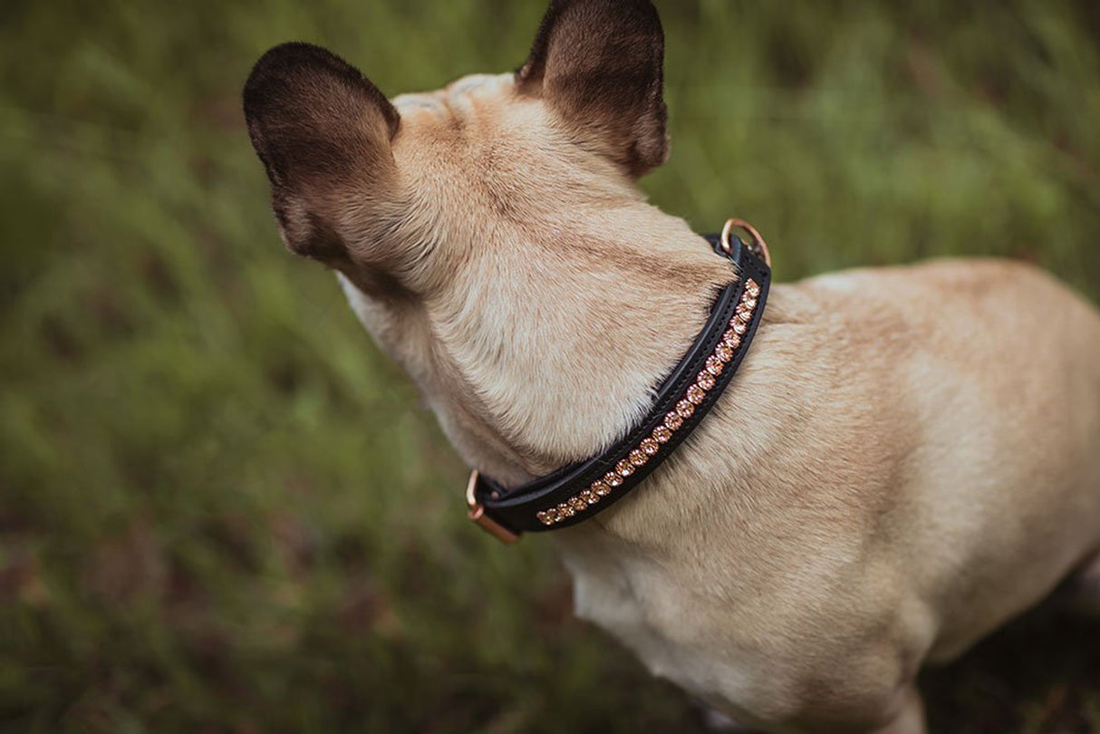 Equestrian Stockholm Dog Collar Dark Sky