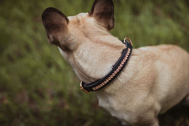 Equestrian Stockholm Dog Collar Dark Sky
