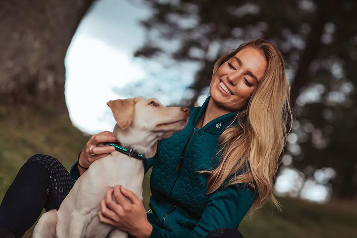 Equestrian Stockholm Dog Collar Emerald