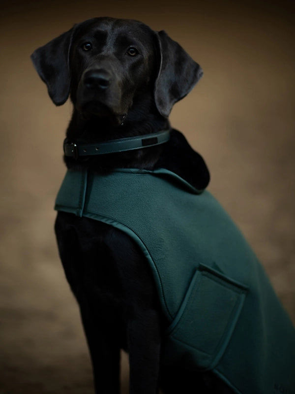 Equestrian Stockholm Fleece Dog Rug Sycamore Green