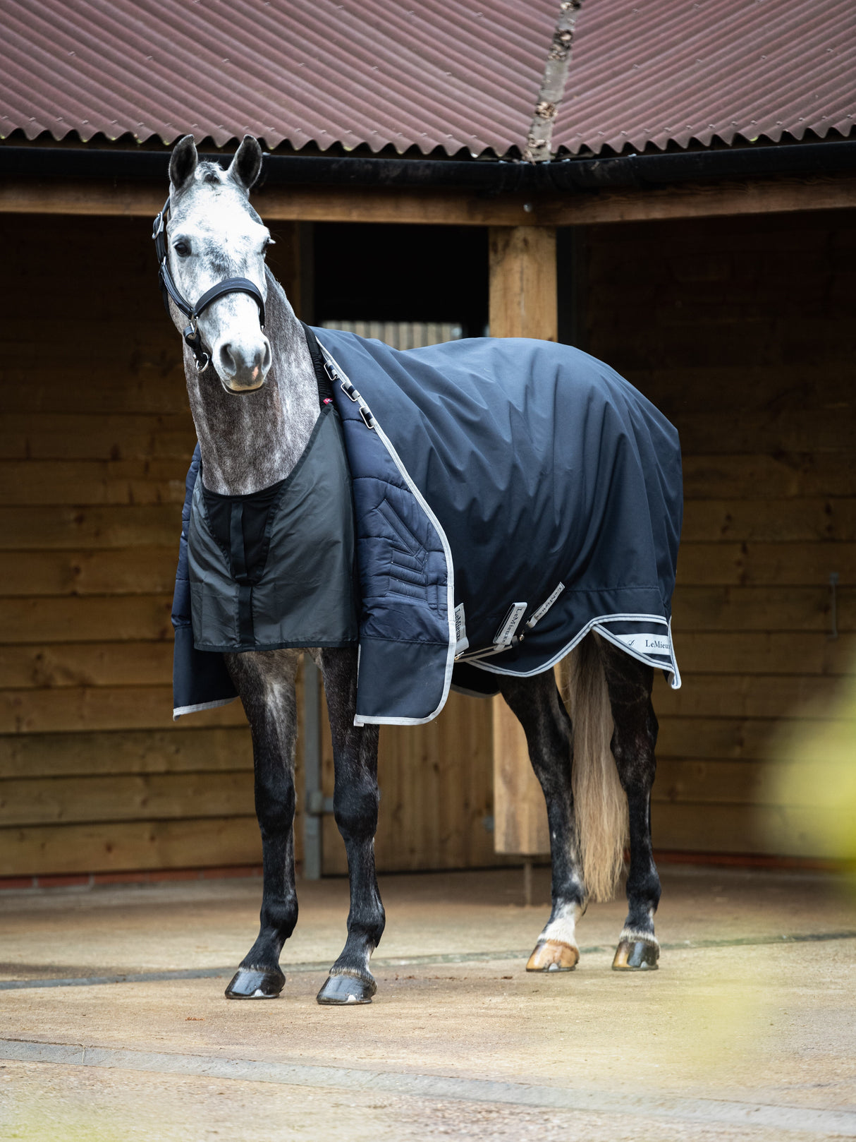 LeMieux Anti Rub Bib
