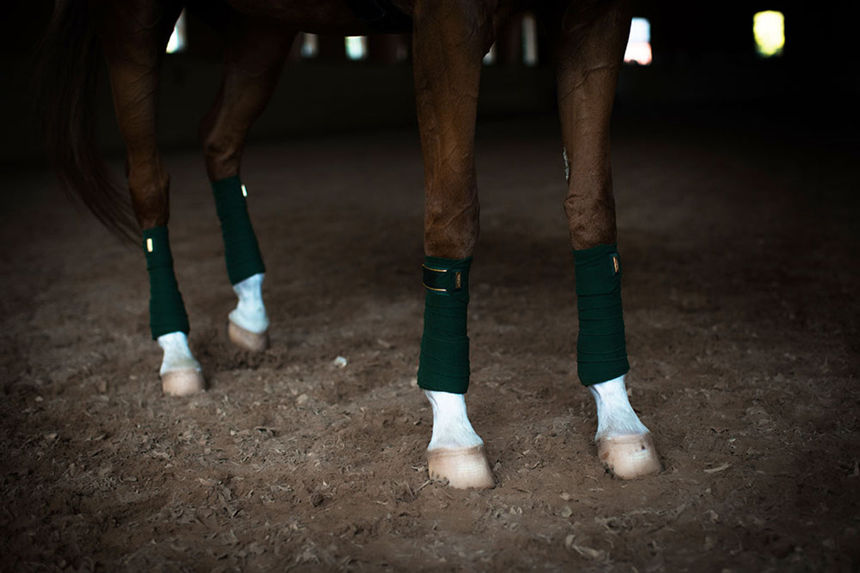Equestrian Stockholm Bandages Forest Green