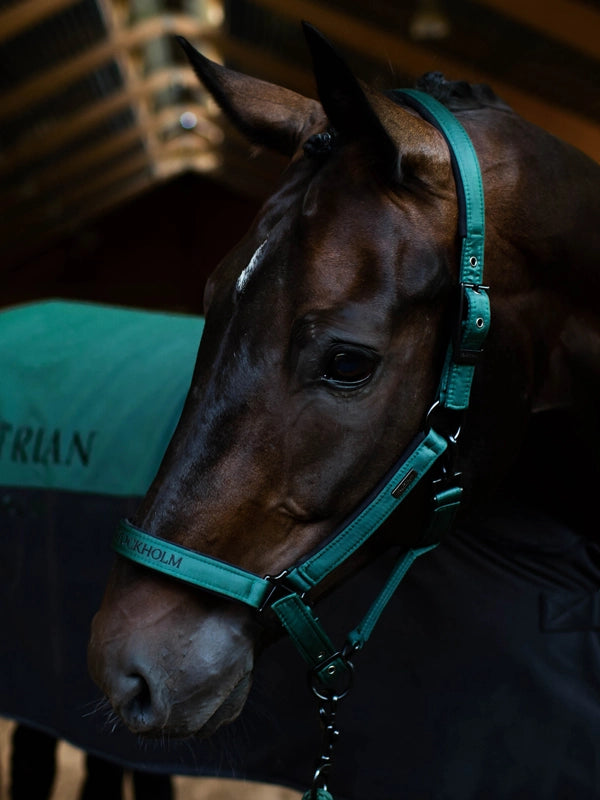Equestrian Stockholm Halter & Lead Sycamore Green