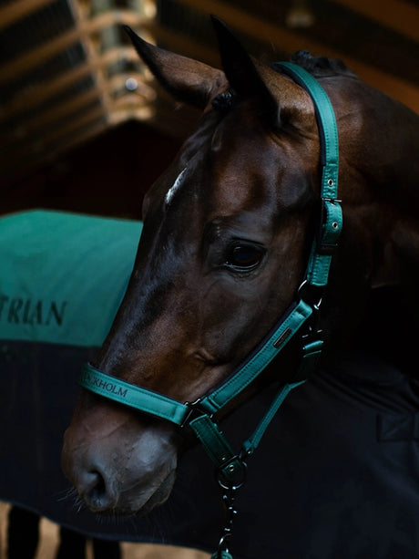 Equestrian Stockholm Halter & Lead Sycamore Green
