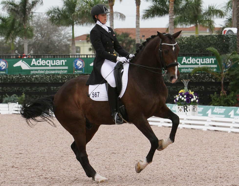 PS of Sweden Passage Double Bridle