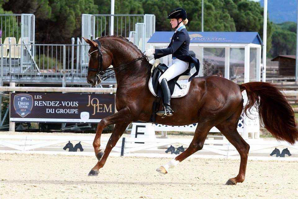 PS of Sweden Passage Double Bridle