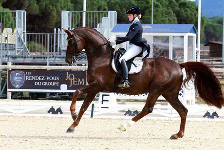 PS of Sweden Passage Double Bridle