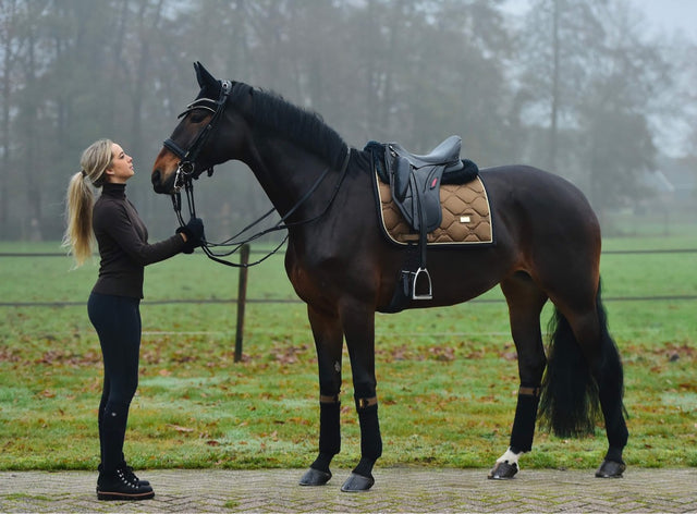 Equestrian Stockholm Dressage Saddle Pad Golden Brass