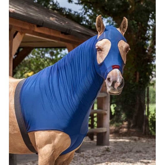 LeMieux Lycra Hood Benetton Blue