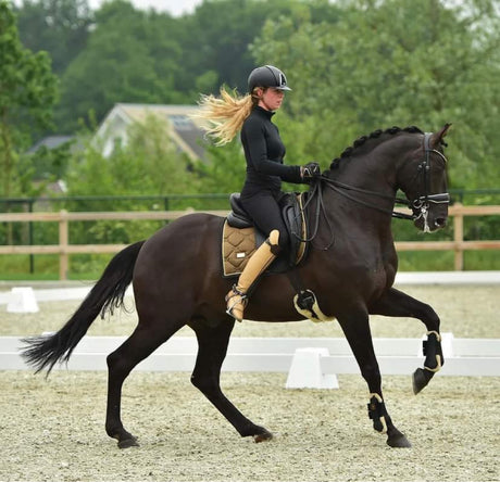 Equestrian Stockholm Dressage Saddle Pad Golden Brass