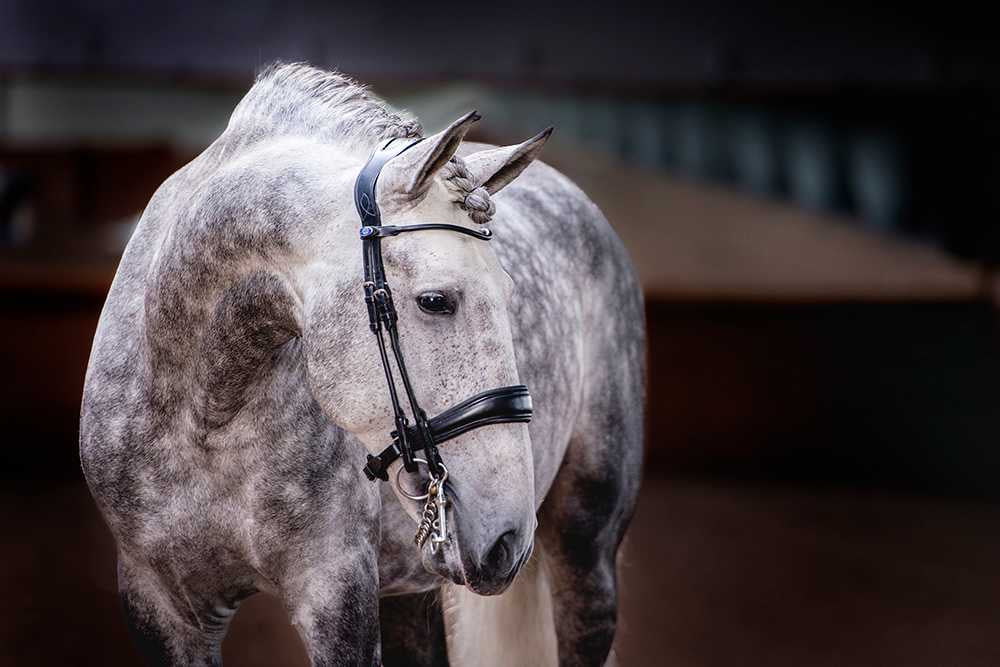 PS of Sweden Passage Double Bridle