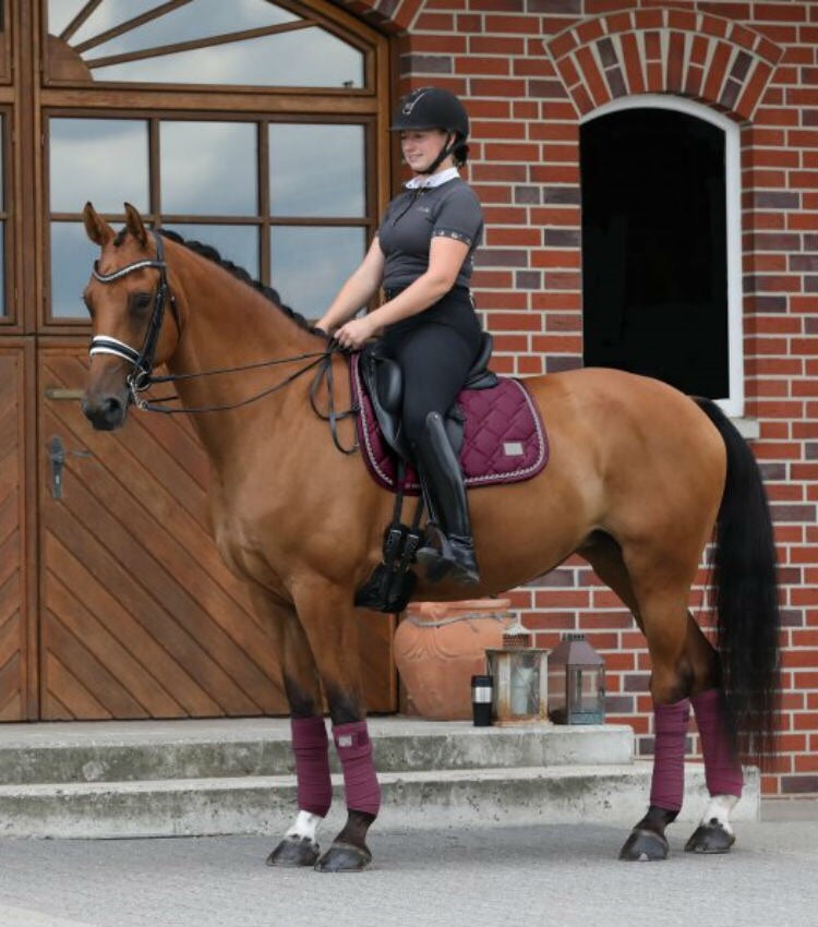 SD Design Gem Dressage Saddle Pad Ruby