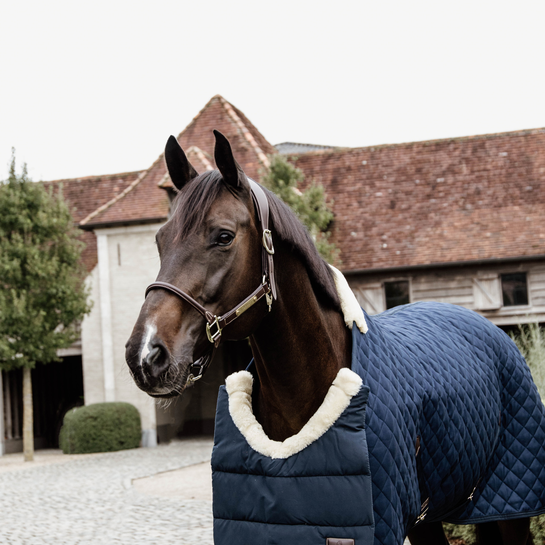Kentucky Winter Horse Bib Navy