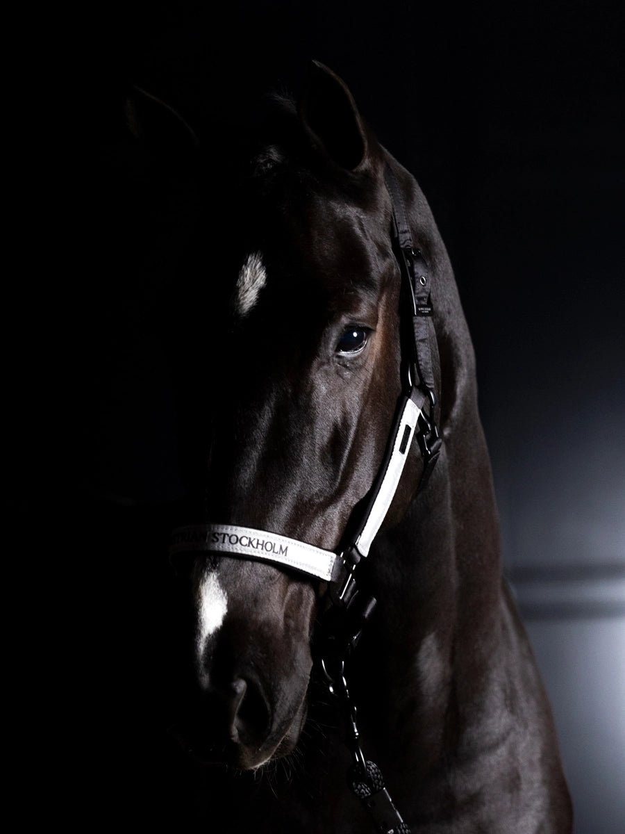 Equestrian Stockholm Halter & Lead Rope Luminous Black