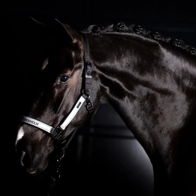 Equestrian Stockholm Halter & Lead Rope Luminous Black