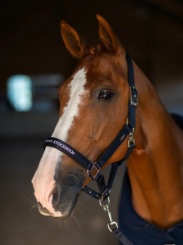 Equestrian Stockholm Clean Halter & Lead Rope Modern Tech Navy
