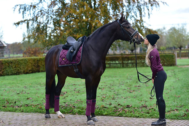 Equestrian Stockholm Bandages Purple Gold