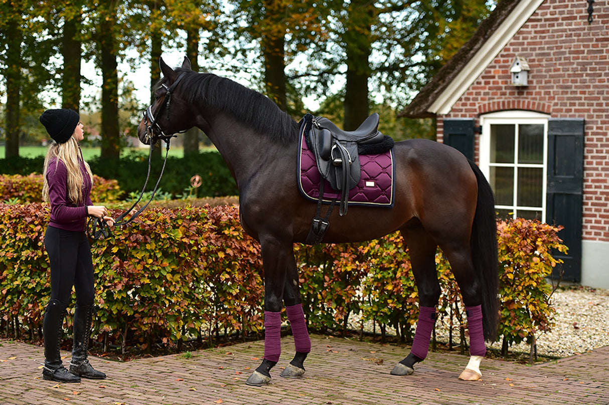 Equestrian Stockholm Bandages Purple Gold