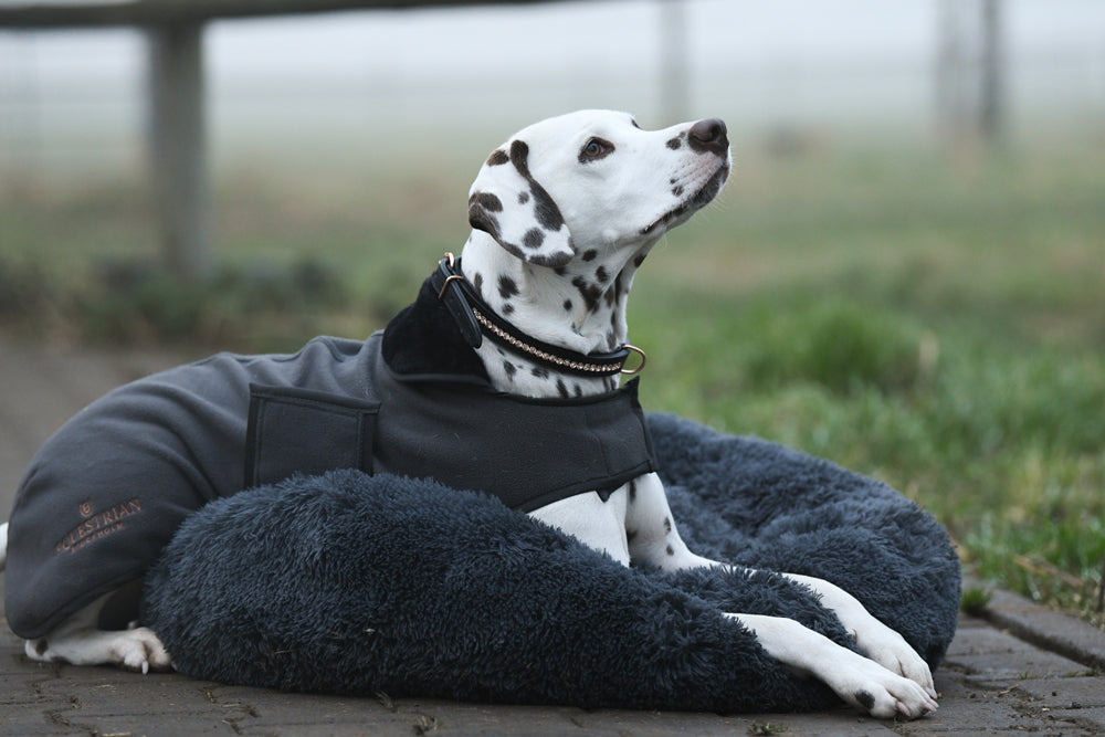 Equestrian Stockholm Fleece Dog Rug Dark Sky