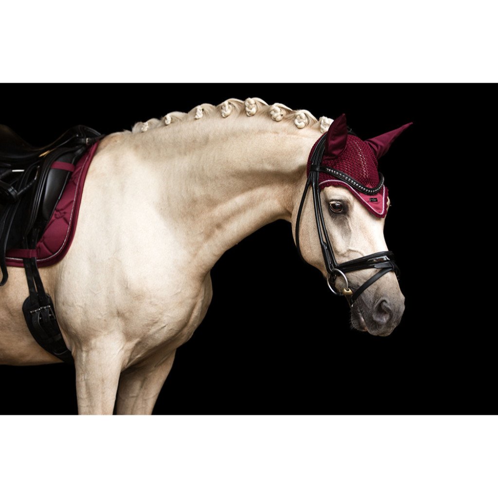 EAR BONNETS – Impulsion Elite Equine Wear