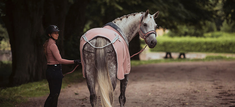 HORSEWEAR & STABLE – Impulsion Elite Equine Wear