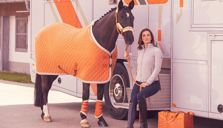 VERMILLION ORANGE