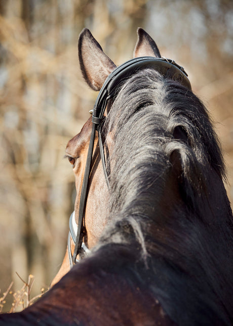 Finesse Cayenne Bridle