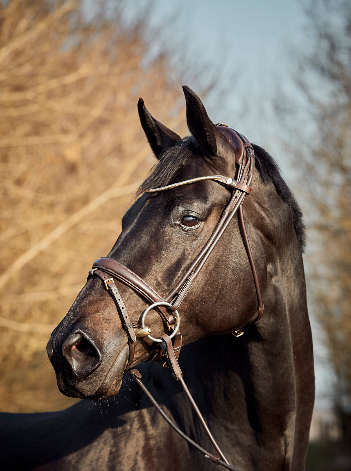 Finesse Himalaya Bridle