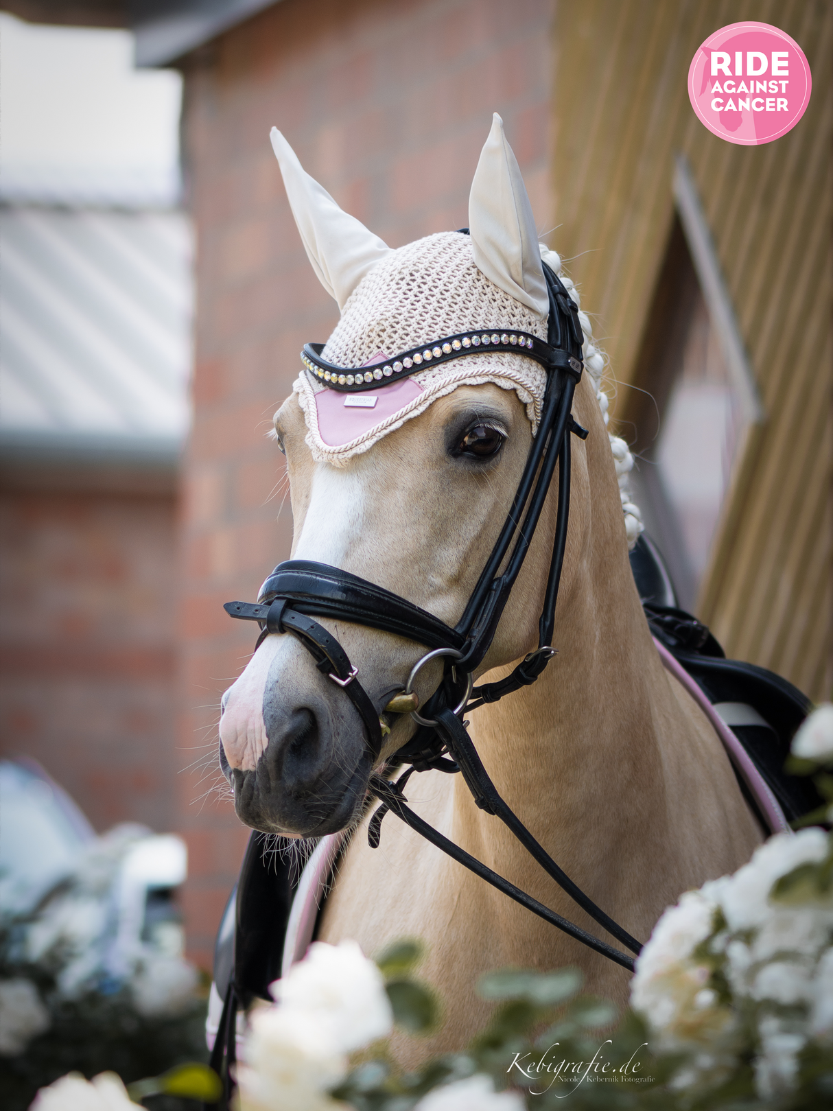 Equestrian Stockholm Ear Bonnet Desert Rose