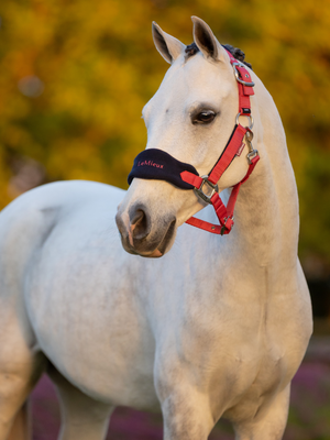 LeMieux Vogue Headcollar & Leadrope Cranberry