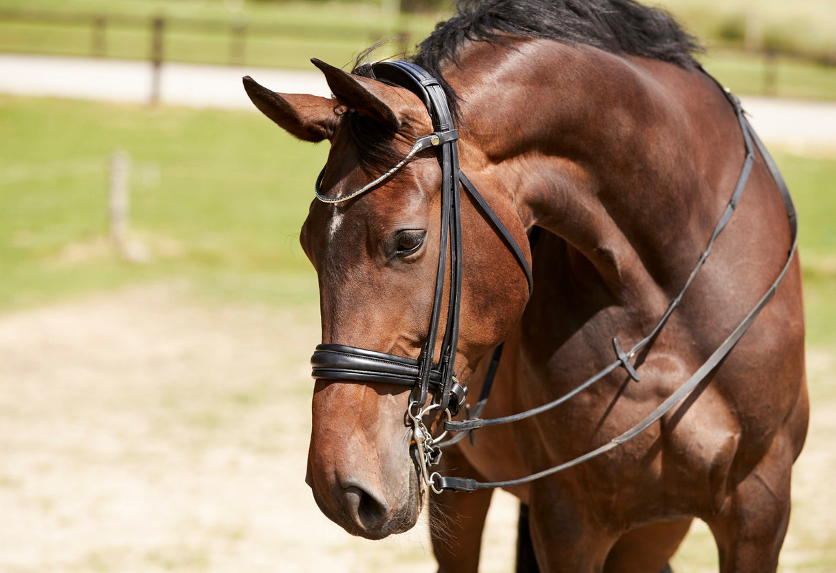 Finesse Cayenne Double Bridle