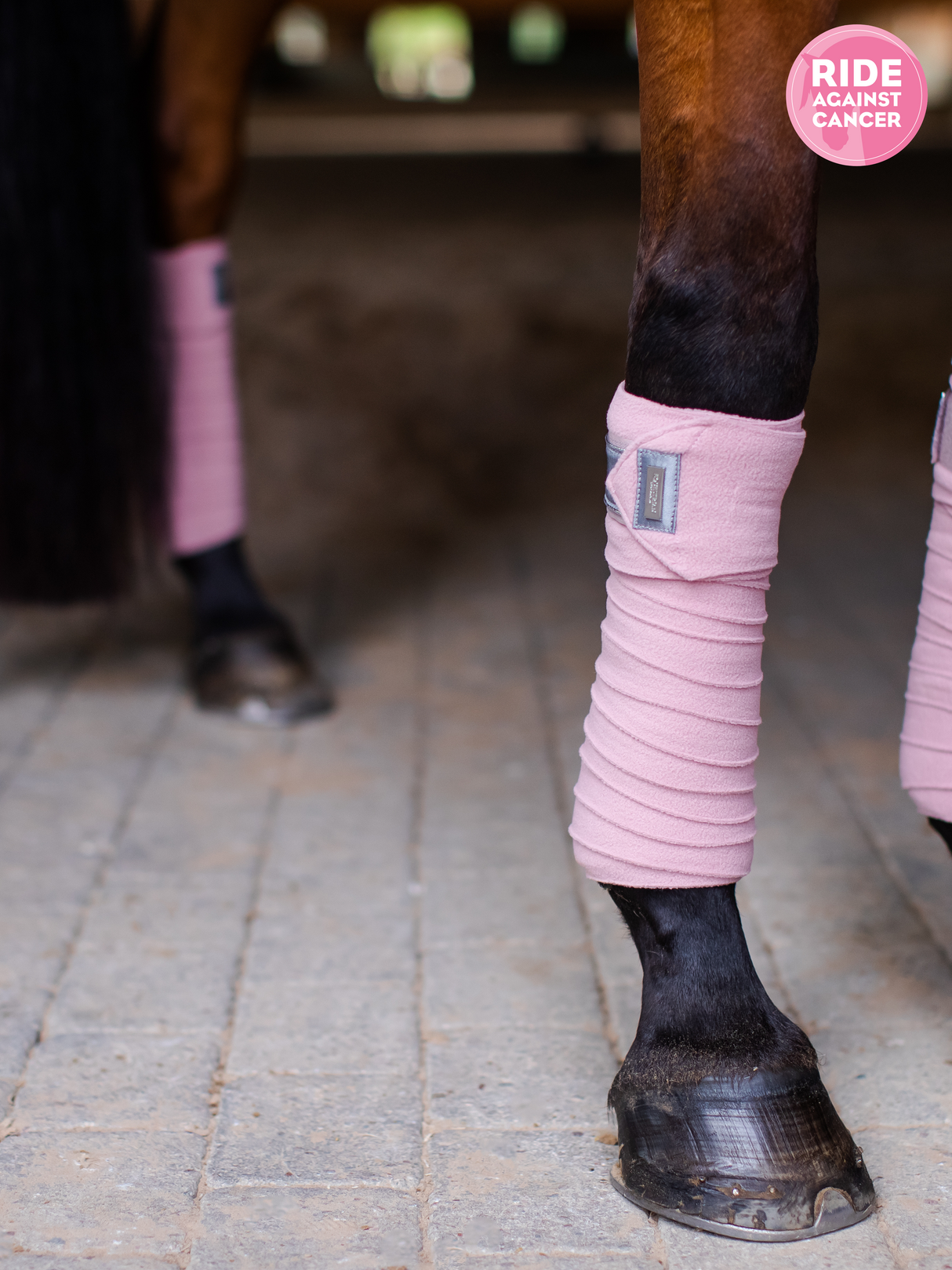 Equestrian Stockholm Bandages Pink Crystal