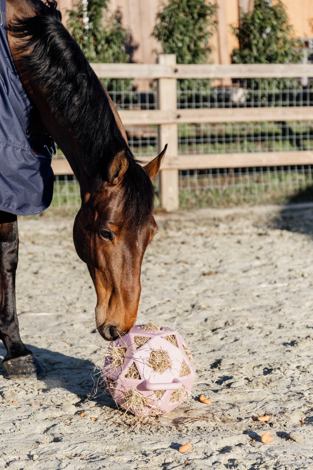 Kentucky Relax Horse Play & Hay Ball Old Rose