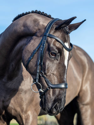 LeMieux Arika Drop Bridle