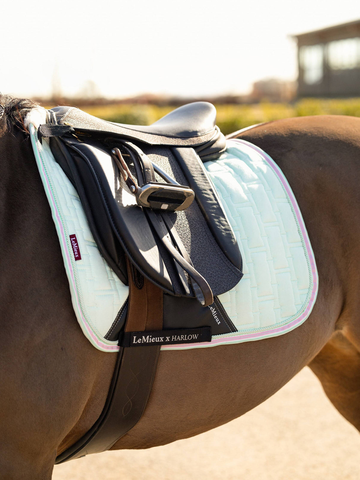 LeMieux Harlow Dressage Square Saddle Pad Softmint